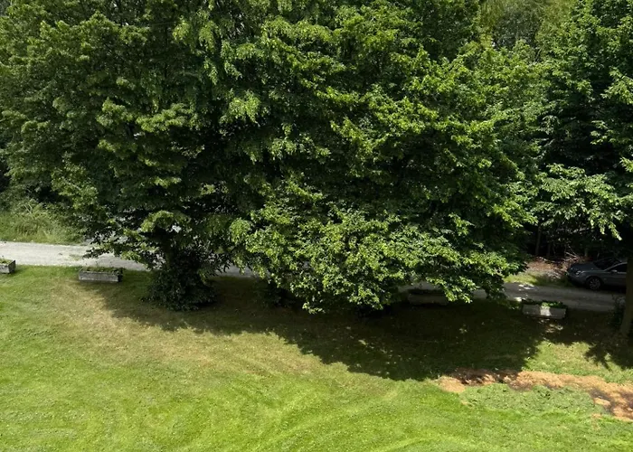 Magiczny * Duszniki Zdrój